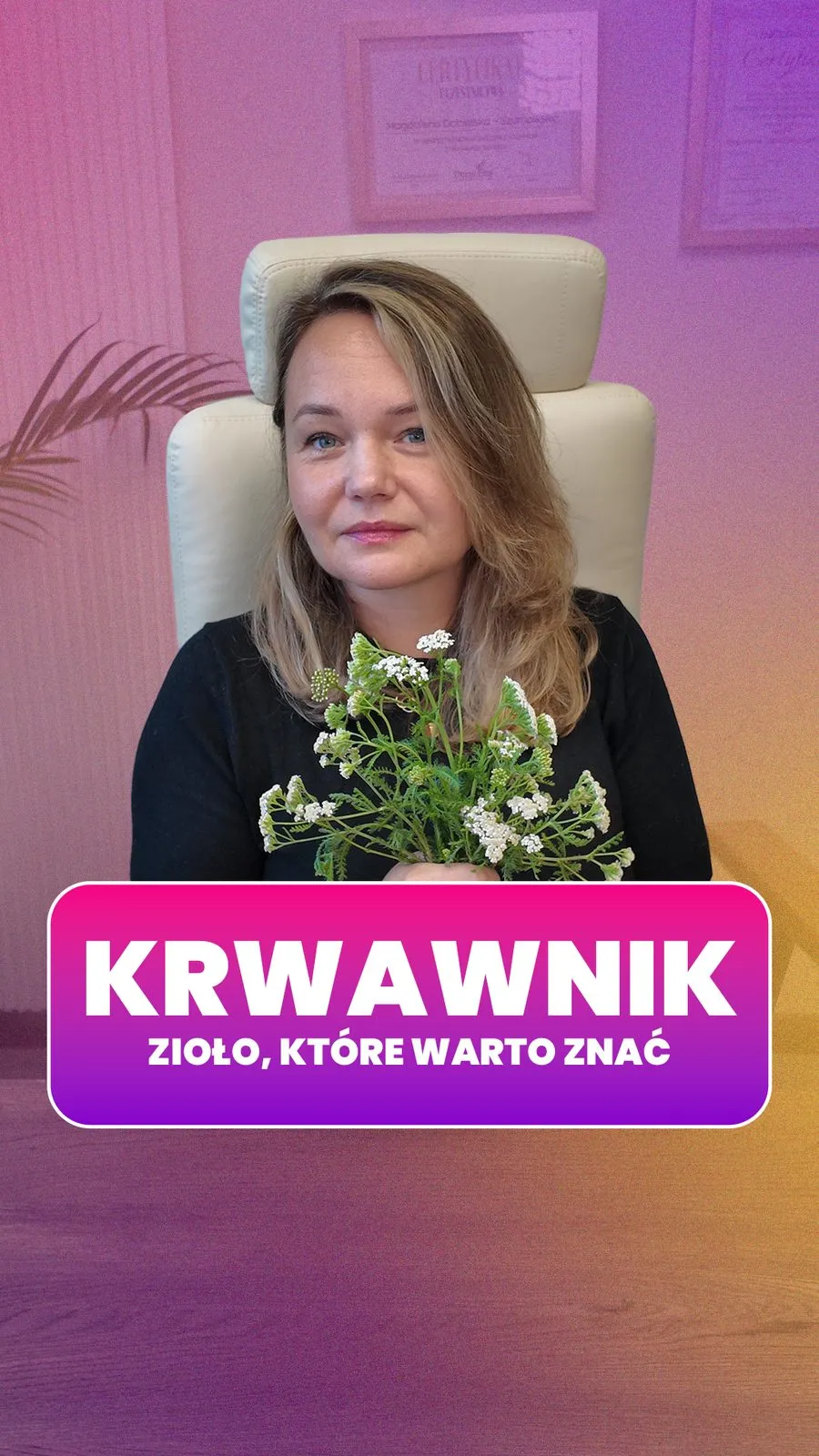 Domivita – Social media – zdjęcie 5